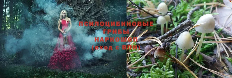 Галлюциногенные грибы Magic Shrooms  Заречный 